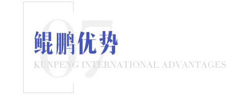 鲲鹏优势