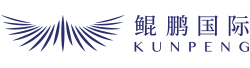 鲲鹏国际logo