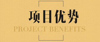 project benefits