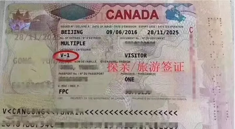 平安保险 申根签证 加拿大签证保险在哪买
